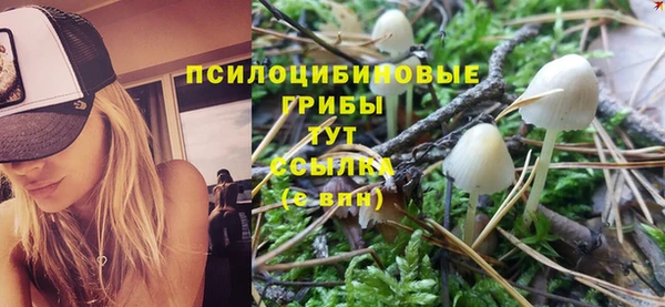 дурь Магадан