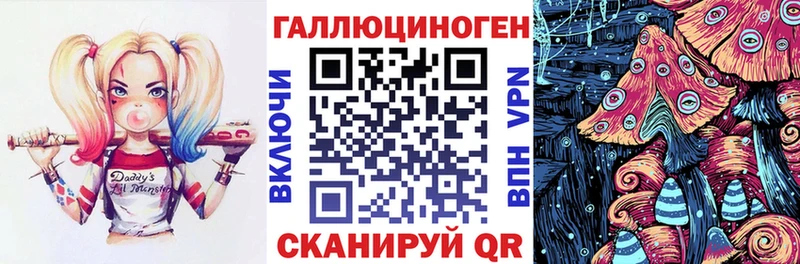 Купить  Тулун  Галлюциногенные грибы Magic Shrooms 